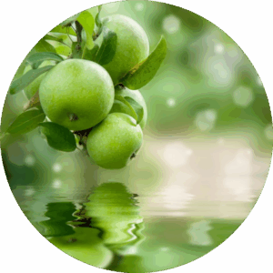 Náplň do osvěžovače F6