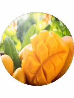 Náhradní náplň mango